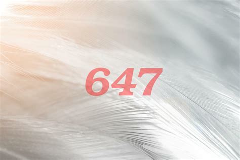 647.