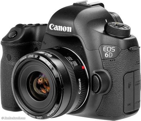 6D.