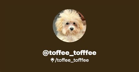 @toffee.