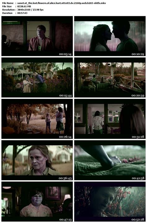 Inventing.Anna.S01E03.DV.2160p.WEB.h265.