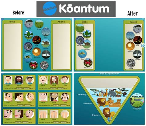 Koantum.
