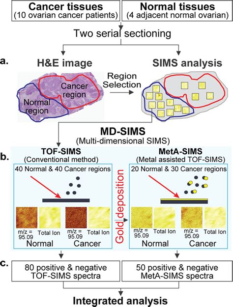 mdsims.