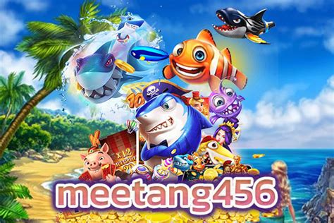 meetang456.net.
