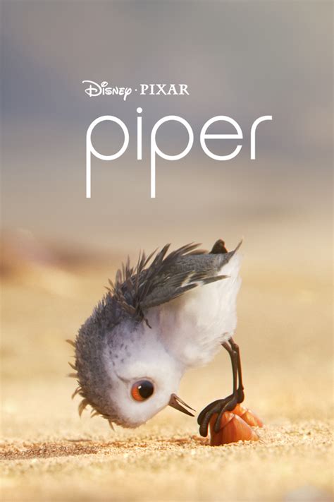 piper.