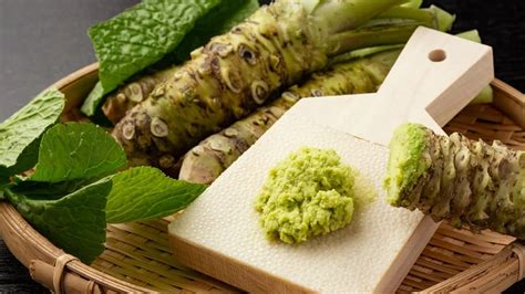 wasabi.