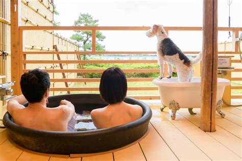 湯快わんわんリゾート.