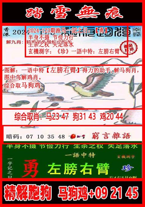马会官方资料网.